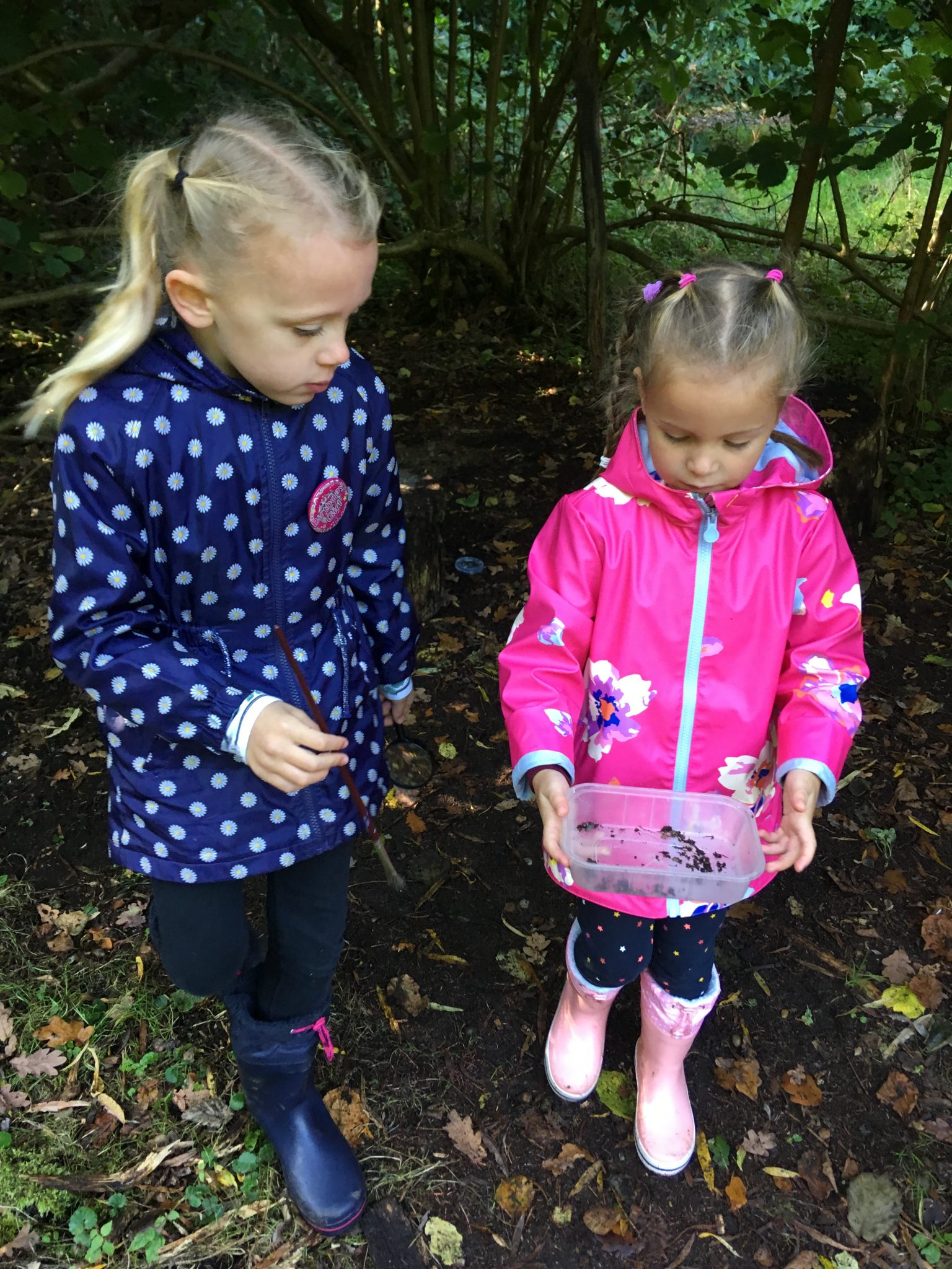 Year 1 Fairhaven trip | Rackheath Primary School